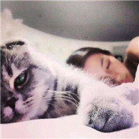 超甜！怀里抱猫的一男一女情侣头像来啦 情侣头像 第4张