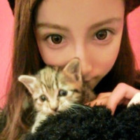 超甜！怀里抱猫的一男一女情侣头像来啦 情侣头像 第18张