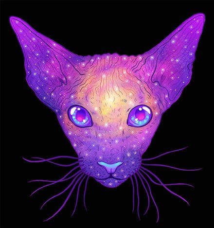 帅炸！猫咪霸气头像来袭 动物头像 第7张