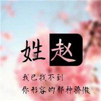 带字赵姓专属头像来咯👏 其它头像 第5张