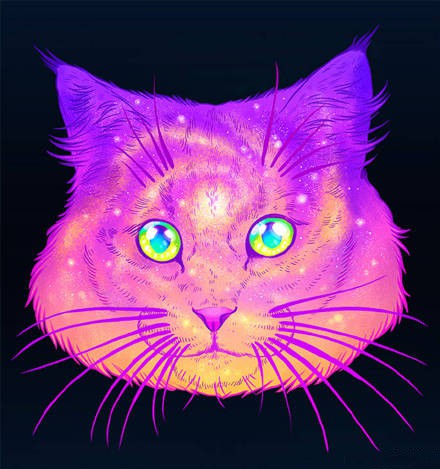 帅炸！猫咪霸气头像来袭 动物头像 第1张