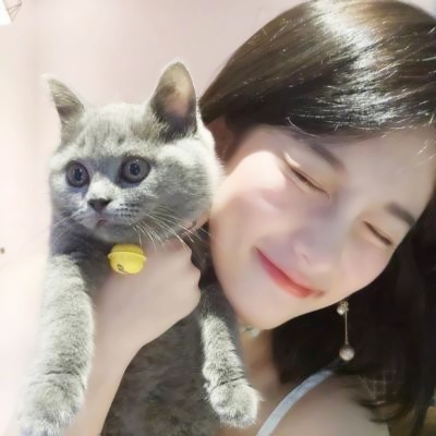 🐱女生抱猫QQ头像图片,萌化你的心 女生头像 第8张 🐱女生抱猫QQ头像图片,萌化你的心 女生头像 第8张