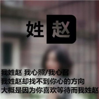 带字赵姓专属头像来咯👏 其它头像 第11张
