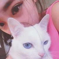 超甜！怀里抱猫的一男一女情侣头像来啦 情侣头像 第6张