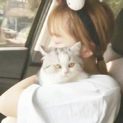 🐱女生抱猫QQ头像图片,萌化你的心 女生头像 第15张 🐱女生抱猫QQ头像图片,萌化你的心 女生头像 第15张