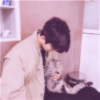 超甜！怀里抱猫的一男一女情侣头像来啦 情侣头像 第3张