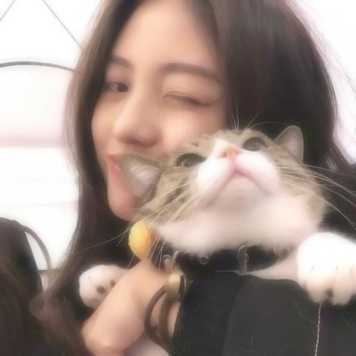 🐱女生抱猫QQ头像图片,萌化你的心 女生头像 第6张 🐱女生抱猫QQ头像图片,萌化你的心 女生头像 第6张