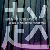 带字赵姓专属头像来咯👏 其它头像 第10张