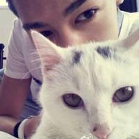 超甜！怀里抱猫的一男一女情侣头像来啦 情侣头像 第5张