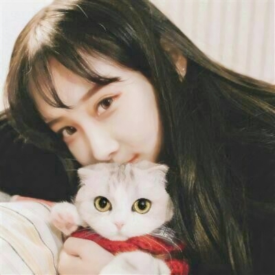 🐱女生抱猫QQ头像图片,萌化你的心 女生头像 第13张 🐱女生抱猫QQ头像图片,萌化你的心 女生头像 第13张