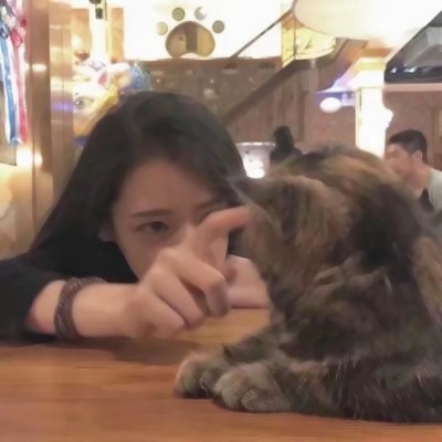 🐱女生抱猫QQ头像图片,萌化你的心 女生头像 第3张 🐱女生抱猫QQ头像图片,萌化你的心 女生头像 第3张
