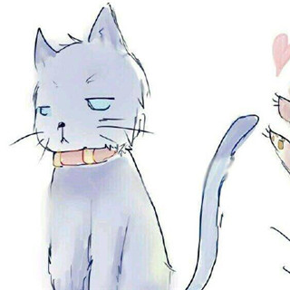 超萌猫咪情侣头像来袭，一左一右配对超有爱💕 情侣头像 第3张