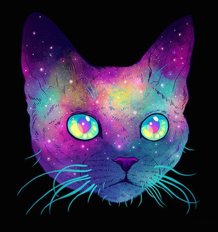 帅炸！猫咪霸气头像来袭 动物头像 第3张