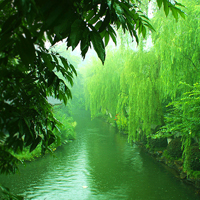 被这组风水绝佳的山水微信头像美哭😭 风景头像 第33张 被这组风水绝佳的山水微信头像美哭😭 风景头像 第33张