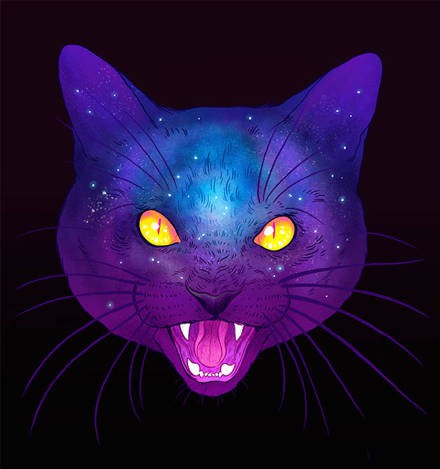 帅炸！猫咪霸气头像来袭 动物头像 第6张