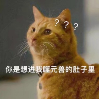 噬元兽猫咪带字头像图片大全,萌翻啦🥰 动物头像 第9张 噬元兽猫咪带字头像图片大全,萌翻啦🥰 动物头像 第9张