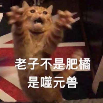 噬元兽猫咪带字头像图片大全,萌翻啦🥰 动物头像 第7张 噬元兽猫咪带字头像图片大全,萌翻啦🥰 动物头像 第7张