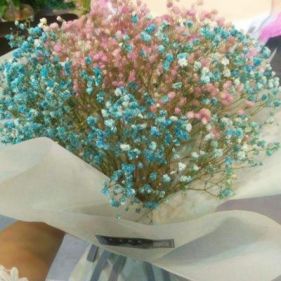 谁能拒绝花束头像图片！超美 其它头像 第11张