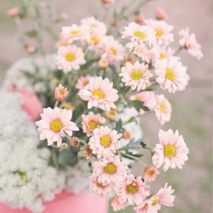 适合妈妈的微信头像花朵图片🌸妈妈专属! 其它头像 第8张 适合妈妈的微信头像花朵图片🌸妈妈专属! 其它头像 第8张