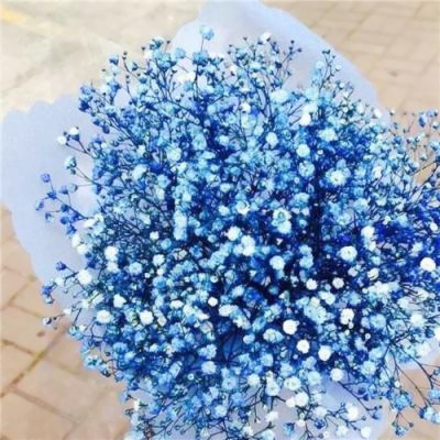 谁能拒绝花束头像图片！超美 其它头像 第6张