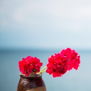 适合妈妈的微信头像花朵图片🌸妈妈专属! 其它头像 第23张 适合妈妈的微信头像花朵图片🌸妈妈专属! 其它头像 第23张