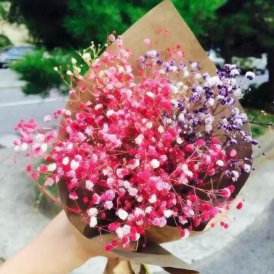 谁能拒绝花束头像图片！超美 其它头像 第10张