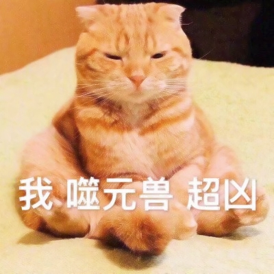 噬元兽猫咪带字头像图片大全,萌翻啦🥰 动物头像 第2张 噬元兽猫咪带字头像图片大全,萌翻啦🥰 动物头像 第2张