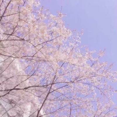 美丽风景微信头像图片精选，美到犯规 风景头像 第24张