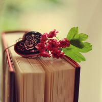 📖唯美微信书本头像大集合 其它头像 第1张 📖唯美微信书本头像大集合 其它头像 第1张