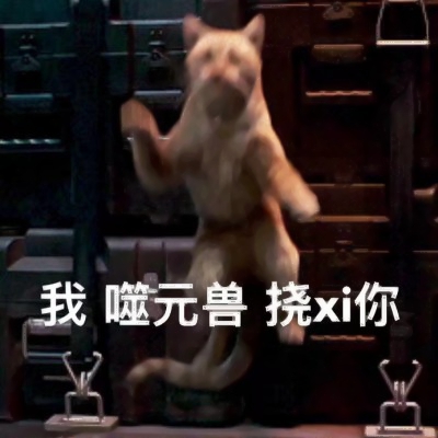 噬元兽猫咪带字头像图片大全,萌翻啦🥰 动物头像 第5张 噬元兽猫咪带字头像图片大全,萌翻啦🥰 动物头像 第5张