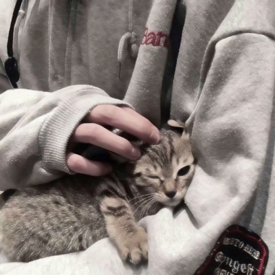 宝藏挖掘✨不露脸的真人男生头像来啦 情侣头像 第7张