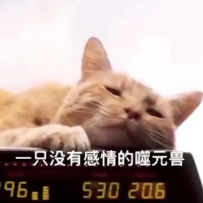 噬元兽猫咪带字头像图片大全,萌翻啦🥰 动物头像 第4张 噬元兽猫咪带字头像图片大全,萌翻啦🥰 动物头像 第4张