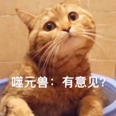 噬元兽猫咪带字头像图片大全,萌翻啦🥰 动物头像 第6张 噬元兽猫咪带字头像图片大全,萌翻啦🥰 动物头像 第6张