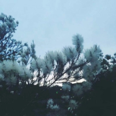 美丽风景微信头像图片精选，美到犯规 风景头像 第22张