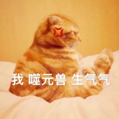噬元兽猫咪带字头像图片大全,萌翻啦🥰 动物头像 第3张 噬元兽猫咪带字头像图片大全,萌翻啦🥰 动物头像 第3张