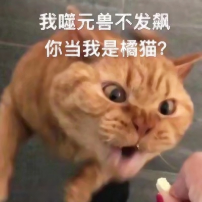 噬元兽猫咪带字头像图片大全,萌翻啦🥰 动物头像 第8张 噬元兽猫咪带字头像图片大全,萌翻啦🥰 动物头像 第8张