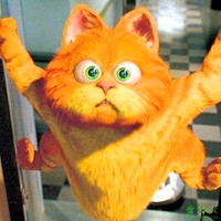 萌翻啦!加菲猫微信头像来袭🐱 其它头像 第38张 萌翻啦!加菲猫微信头像来袭🐱 其它头像 第38张
