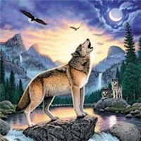 🐺超霸气狼头图片来袭,气场全开 动物头像 第4张 🐺超霸气狼头图片来袭,气场全开 动物头像 第4张