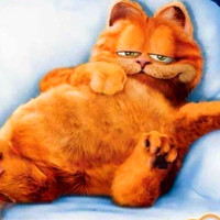 萌翻啦!加菲猫微信头像来袭🐱 其它头像 第52张 萌翻啦!加菲猫微信头像来袭🐱 其它头像 第52张
