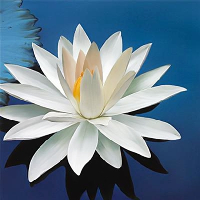 唯美风景微信头像图片，每一张都好看 风景头像 第9张