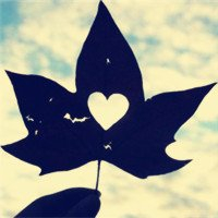 🍁绝了!唯美QQ枫叶头像大全 其它头像 第2张 🍁绝了!唯美QQ枫叶头像大全 其它头像 第2张