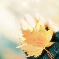 🍁绝了!唯美QQ枫叶头像大全 其它头像 第10张 🍁绝了!唯美QQ枫叶头像大全 其它头像 第10张