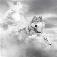 🐺超霸气狼头图片来袭,气场全开 动物头像 第20张 🐺超霸气狼头图片来袭,气场全开 动物头像 第20张