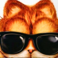 萌翻啦!加菲猫微信头像来袭🐱 其它头像 第36张 萌翻啦!加菲猫微信头像来袭🐱 其它头像 第36张