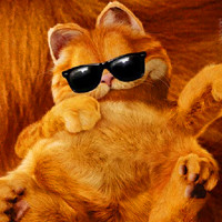 萌翻啦!加菲猫微信头像来袭🐱 其它头像 第39张 萌翻啦!加菲猫微信头像来袭🐱 其它头像 第39张