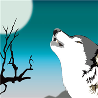 🐺超霸气狼头图片来袭,气场全开 动物头像 第7张 🐺超霸气狼头图片来袭,气场全开 动物头像 第7张