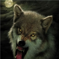 🐺超霸气狼头图片来袭,气场全开 动物头像 第17张 🐺超霸气狼头图片来袭,气场全开 动物头像 第17张
