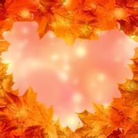 🍁绝了!唯美QQ枫叶头像大全 其它头像 第28张 🍁绝了!唯美QQ枫叶头像大全 其它头像 第28张
