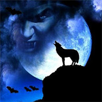 🐺超霸气狼头图片来袭,气场全开 动物头像 第9张 🐺超霸气狼头图片来袭,气场全开 动物头像 第9张