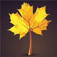 🍁绝了!唯美QQ枫叶头像大全 其它头像 第14张 🍁绝了!唯美QQ枫叶头像大全 其它头像 第14张